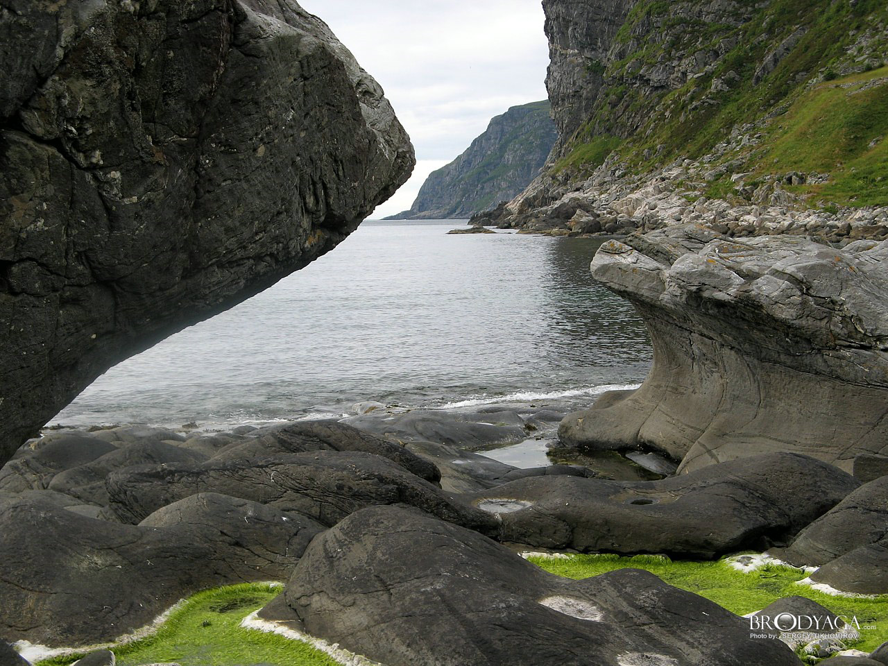 Oppedal